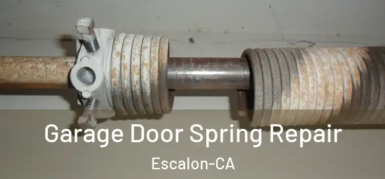 Garage Door Spring Repair Escalon-CA