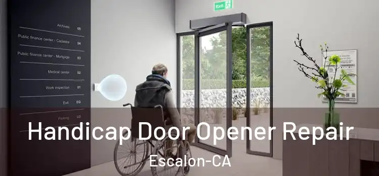Handicap Door Opener Repair Escalon-CA