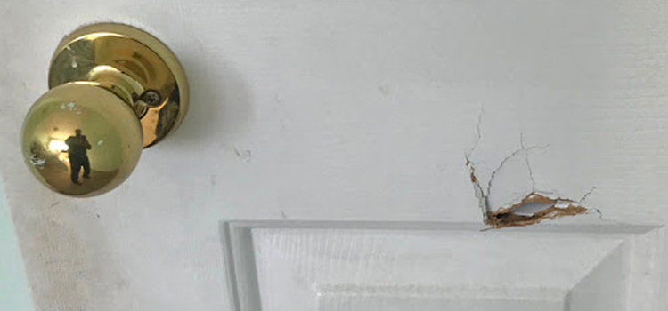 interior door hole repair Escalon